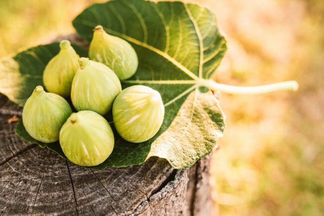 Fresh figs
